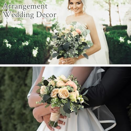 Janinka Mixed Eucalyptus Leaves Stems Bulk with White Seeds Artificial Silver Dollar Leaves Sprays Faux Oval for Wreath Garland Floral Bouquets Arrangement Wedding Greenery Decoration (20 Pcs)