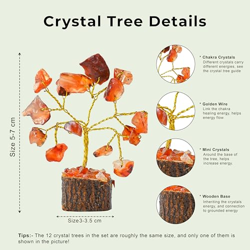 Crocon® Set of 12 Crystals Mini Stone Tree of Life Birthday Gifts for Women, Home & Office Decor, Money Tree Healing Crystals Gift Set Mom & Father Gift Ideas Housewarming Gifts New Home Sister & Dad - color: 003 (Set of 12 ) New