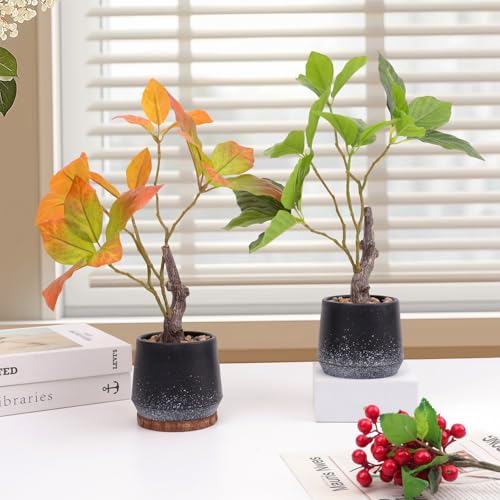 Gresorth 2 Pack 11.8 Inch Artificial Bonsai Potted Plants Fake Plants with Pebbles Realistic Greenery Potted Decor for Indoor Office Decoration Garden Landscapes - color: C - 2 Colors