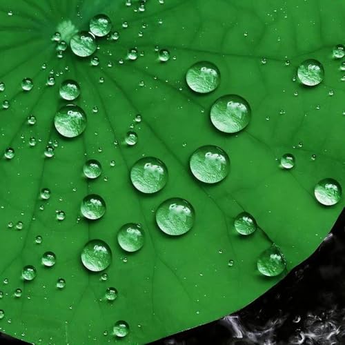 20 Pcs Realistic Lily Pads Leaves for Ponds, 4 Kinds Artificial Floating Foam Lotus Leaves, Water Lily Pads Foliage Pond Decor for Pond Pool Koi Fish Patio Aquarium