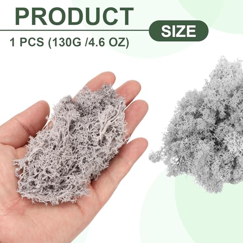 MECCANIXITY 4.6oz Preserved Reindeer Moss, Light Grey Decorative Artificial Fake Moss for Potted Plants Indoor Crafts Lichen Centerpieces Decor - color: Light Grey, size: 4.6oz