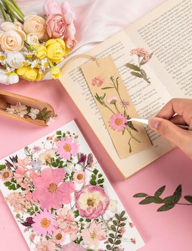 80pcs Pink Pressed Flowers Bulk, Romantic Dried Flower Leaves, Natural Pressed Dried Flowers with Tweezer for DIY Crafts Resin Mold Candles Cake Bridal Scrapbooking Supplies - size: Pink 80pcs