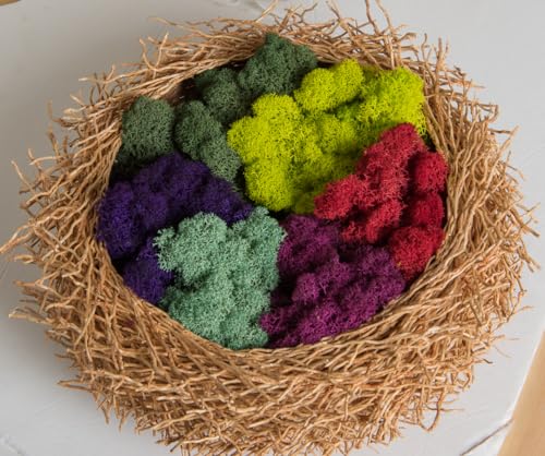 SuperMoss (21798) Reindeer Moss – Soft Preserved Moss for Home Decor, Crafts, Terrariums, Floral Design, and Wedding Decorations, 2,588 cu in, Purple - color: Purple, size: Appx. 10 lb Bulk Case