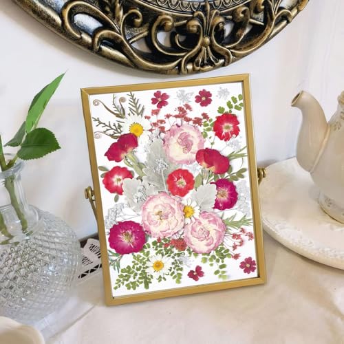 48 Pcs Mix Natural Dried Pressed Flowers for Cake Decorating, Real Dry Flower for Resin Jewelry Making, DIY Art Crafts (Rose) - color: Rose