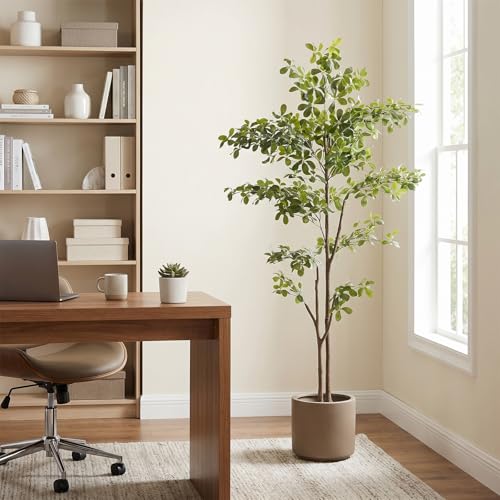 Black Olive Tree 6ft, Artificial Shady Lady Tree with Natural Trunk and Realistic Leaves, Tall Floor Plants for Living Room Decor Home Office Indoor Pack of 1 - size: 6ft