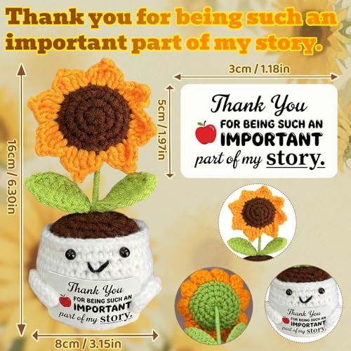 Handmade Crochet Sunflower Gift with Inspirational Card - Positive Sunflower in Smiling Pot, for Mom from Daughter, Teacher Appreciation Gifts, Desk Decor for Women Coworker - color: Important Part