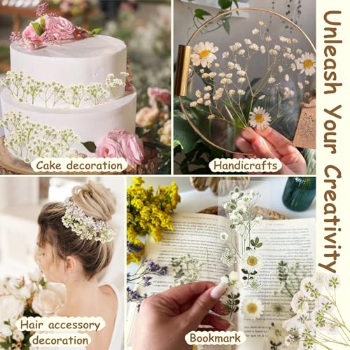 110Pcs Dried Pressed Baby's Breath Flowers - 100% Natural Flat Real White Gypsophila Baby Breath, Pressed Flowers for Resin Art, Epoxy Coasters, Wedding Invitations, Scrapbooking, Frame Decorations - size: 110