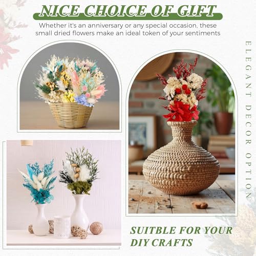 Layhit 12 Pcs Boho Dried Flower Bouquet Mini Wedding Handmade Dry Flowers Decor for Vase Crafts DIY Photo Boutonniere for Men Floral Plant for Bridesmaid Gift Birthday Decor(Hydrangea) - style: Hydrangea