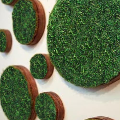 FAICOIA 2 Pcs Floral Moss Rug Roll Dried Moss Sheets for Crafts Table Runner Fairy Gardens Wedding Woodland Decor 12" x 71" Preserved Green Moss Mat for Forest Decoration Carpet Grass Wall 30x180cm - color: 2 Pcs 12 x 71 Inch/30 x 180 cm