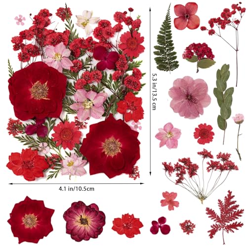 101 PCS Red Dried Pressed Flowers for Christmas Crafts Resin, Red Real Nature Flowers Bulk for DIY Holiday Cake Card Scrapbook Supplies, Large Dried Flowers for Soap Candle Making - size: Red