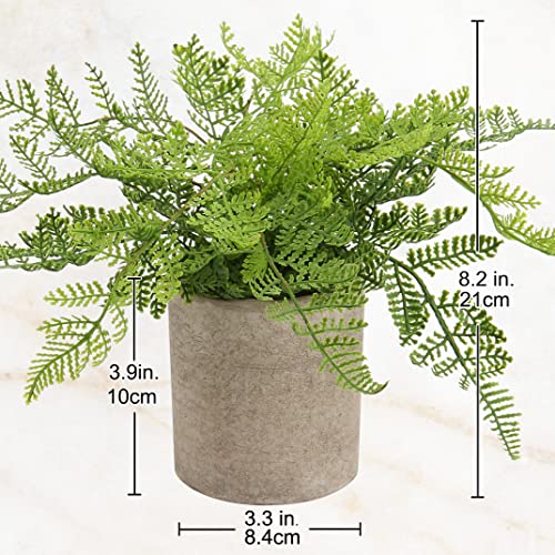 Hollyone Small Fake Plant Potted Plants Artificial Decor Silk Ferns Plant Faux Plants in Pots for Home Living Room Bedroom Desk Bathroom Window Shelf Farmhouse Decoration - color: 1 Pack - Style 1