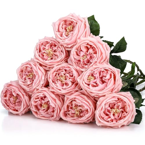 Daifunli 10pcs Real Lifelike Peonies Artificial Flowers, Faux Austin Rose with Long Stem Look Real Fake Flower for Christmas Valentines Arrangement Wedding Party Home Kitchen Decor(Pink) - color: Pink
