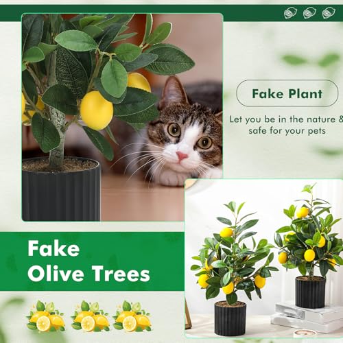 Giegxin 2 Pcs Artificial Lemon Tree 15.7 Inches Fake Artificial Potted Plants Faux Lemon Citrus Tree with Pot Faux Plants Indoor for Home Kitchen Office Living Room Table Desk (Black Pot) - color: Black Pot