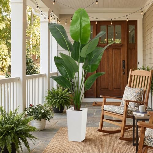 Aveyas 6ft Artificial Bird of Paradise Tree for Home Decor, 6 Feet Faux Floor Plant Fake Silk Banana Leaf Tropical Trees with Pot for Indoor Outdoor House Living Room (6 ft Tall Including Raised Pot) - color: Bird of Paradise Tree (6ft)