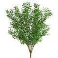 Vickerman Everyday 20" Artificial Green Mini Smilax Bush - Faux Indoor Plant Bush - Greenery for Home Or Office Decor - Maintenance Free