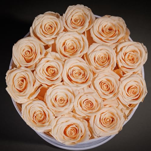 Prifroti 17 Flowers in a Luxury Suede Box, Birthday Gifts for Women, Preserved Flowers, Mothers Day Roses Gift for Mom, Champagne - color: Champagne, size: 17 Roses