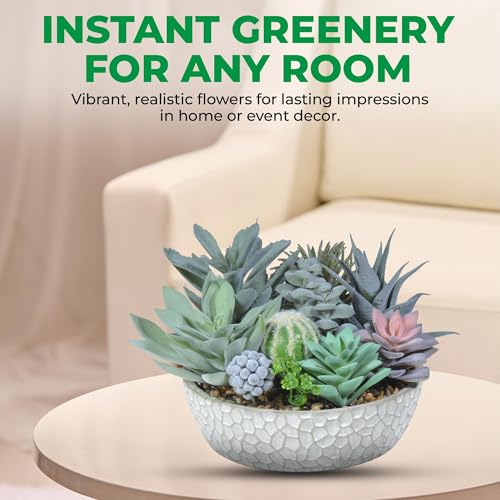 Premium Assorted Artificial Succulent Collection - Large Real Touch Artificial Cactus, Aloe Vera & Succulent Plants Artificial with Pots for Home Office Indoor (Artificial Glass - Pot) - color: Artificial Glass - Pot