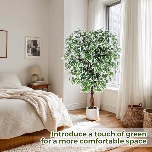 Jocoevol 5FT Artificial Ficus Tree, Tall Faux Trees Indoor with White Planter, Dried Moss, Natural Silk Leaves & Trunk, Fake Plants for Home Living Room Office Corner Decor Housewarming Gift - color: White Border, size: 5ft