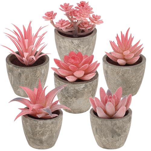 Woration 6Pcs Small Artificial Pink Succulent Set Fake Flocking Succulents Plants Potted Floral Arrangement for Shelf Office Home Desk Decorations - color: 6 Pack 6 Style Pink