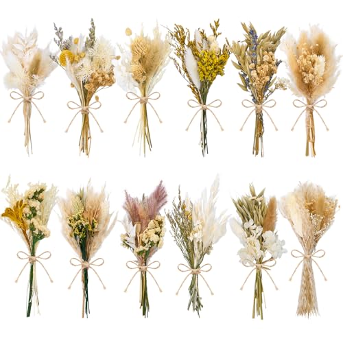 12/24 PCS Charming Dried Flowers Bouquet for Vase Various Dried Wildflowers with Stems Mini Handmade Wildflowers Natural Real Flowers Bulk Flowers Craft (Solid Color, 12 PCS) - color: Solid Color