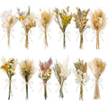 12/24 PCS Charming Dried Flowers Bouquet for Vase Various Dried Wildflowers with Stems Mini Handmade Wildflowers Natural Real Flowers Bulk Flowers Craft (Solid Color, 12 PCS) - color: Solid Color