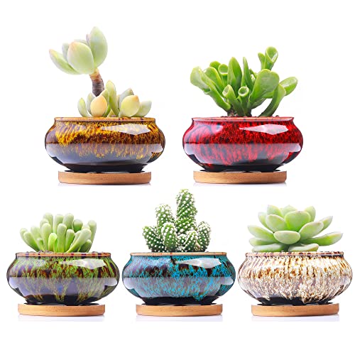 Cute Ceramic Succulent Garden Pots, Planter with Drainage and Attached Saucer, Set of 5 -Plants Not Included (Burner) - color: Burner