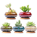 Cute Ceramic Succulent Garden Pots, Planter with Drainage and Attached Saucer, Set of 5 -Plants Not Included (Burner) - color: Burner