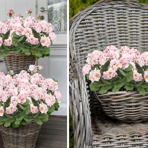 CISDUEO 2 Pcs Artificial Flowers for Outdoors Silk Geraniums Outside Pink Bush Faux Flowers Geraniums for Outdoor Decor Indoor Garden Patio Grave Cemetary Table Centerpiece - color: Light Pink