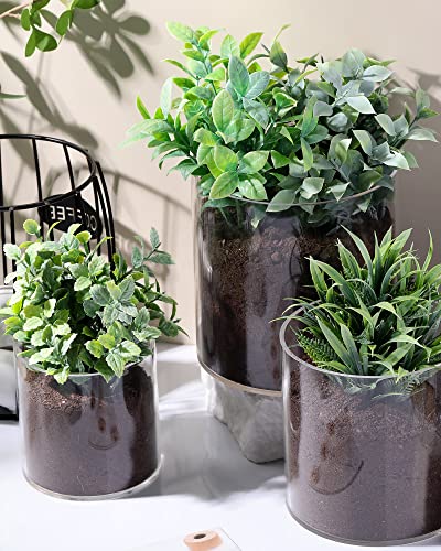 meekoo 3 Pcs Flower Acrylic Vase Cylinders Round Decorative 6 x 6 in, 5 x 5 in, 4 x 4 in Vase Break Resistant Acrylic Flower Cylinder for Centerpiece Home Wedding Decor(Classic) - color: Clear, size: 4 x 4 in, 5 x 5 in, 6 x 6 in