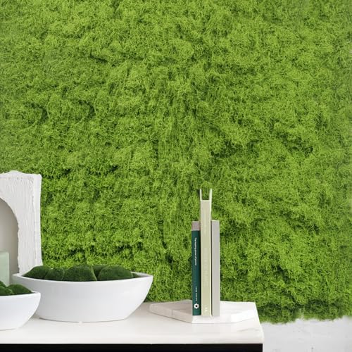 Fake Moss for Crafts 39" x 39" Faux Moss Mat for Plants Indoor Green Artificial Moss Rug for Decorating Planters Crafts DIY Table Centerpieces Fairy Garden Floral Wedding 100 x 100cm - color: 39 X 39 Inch/100x100cm
