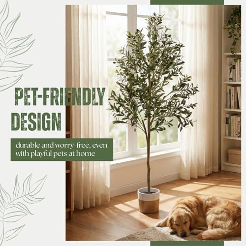 6ft Dense Leaves Artificial Olive Tree with Woven Basket - Realistic Faux Olive Tree for Living Room, Office & Home Decor - Large&Tall Indoor Floor Plant，Aesthetic Silk Plants