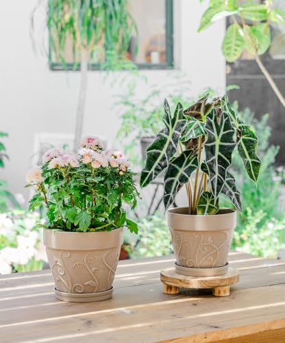 Melphoe Plant Pots Indoor with Drainage & Saucer, 2Pack 7/8 inch Flower Pots Outdoor Planters for Indoor Plants Garden Home Decor Cactus Succulent, Rigid Plastic (Imitation-Terracotta) Vine-Embossed - color: Undecorated Pottery Color, size: 7''+8"