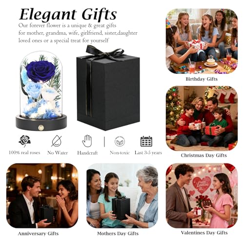 Eternal Roses, Preserved Flowers in Glass Dome, Blue Forever Flowers for Delivery, Valentines Day Mothers Day Anniversary Birthday Gifts for Grandma Women Her Mom Girlfriend Wife - color: New Blue