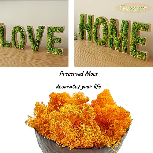 Moss Preserved Moss for Potted Plants Natural Fresh Green Reindeer Moss for Craft Arts Floral Wall Decor Decor Wedding Centerpieces Garden Artificial Terrariums Decoration for Christmas-Orange 3.52OZ - color: Orange, size: 3.5oz