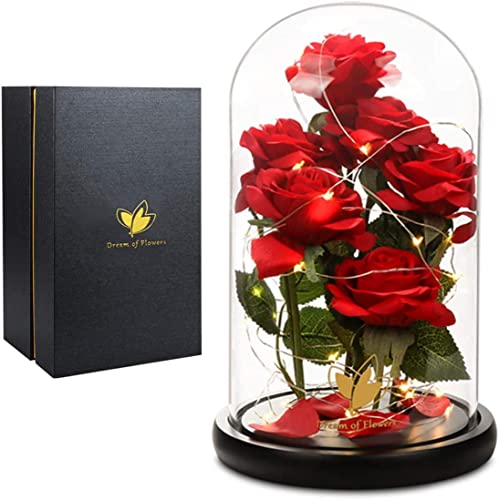 Mothers Day Rose Gifts for Women,Beauty and Beast Rose in Glass Dome with LED Light,Glass Rose Flower Gifts for Family Valentines Birthday Gifts for Women Mom Wife Girlfriend Friend Forever Red Rose - color: Charming Rose