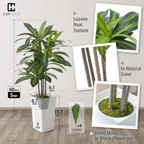 Fencer Wire Artificial Dracaena Tree 5FT – Tall Faux Dracaena Floor Plant in White Planter, Low Maintenance Large Indoor Tree for Living Room Office Corner - size: 5ft