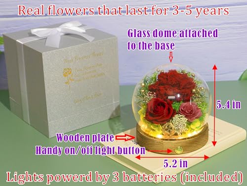 Valley of Rain & Forest Long-Lasting Real Flowers With Delivery | Unique Floral Gift For You to Send Love for All Occasions, Aesthetic Home Decor (Forever Preserved Red Carnation Arrangement) - color: Red Carnation Arrangement