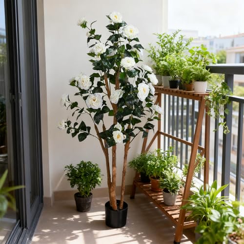 Lifelike Artificial Trees Camellia with Natural Wood Trunks, Evergreen Silk Faux Rose Trees with Silk Flowers, Home Decor Indoor for Living Room, Porch, Office（White，5FT*1） - color: White, size: 5ft