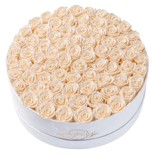 Prifroti 75 Preserved Roses in Suede Box – Luxury Rose Flower Arrangement, Preserved Flowers Gifts for Women, Wife or Mom – Birthday, Anniversary, Valentine’s Day, Mother's Day (Champagne) - color: Champagne, size: 75 Roses