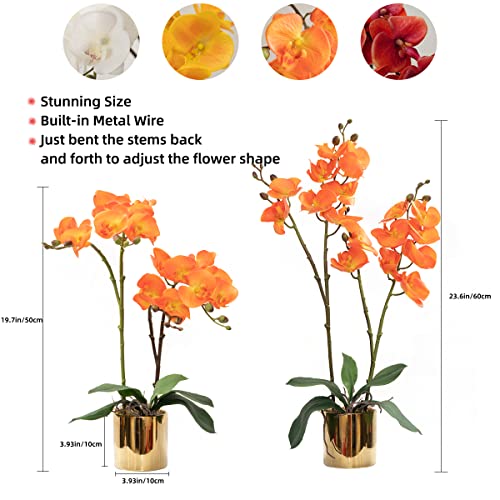 CXGS Artificial Orchid Flower Plant Real Touch Faux Orchids in Ceramic Vase Orange 19.7'' Fake Phalaenopsis Flower Arrangement Centerpiece Home Indoor Decor - color: Orange- Golden