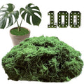 3.53oz Fake Green Moss for Potted Plants, Artificial Faux Moss for Crafts, DIY Decor, Fairy Gardens, Table Centerpieces, Wedding & Home Decor (100g Dark Green)