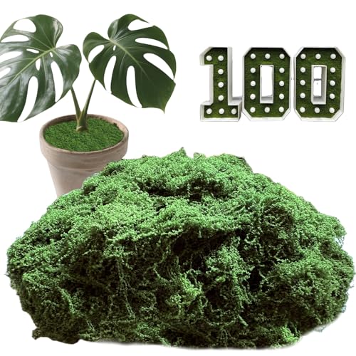 3.53oz Fake Green Moss for Potted Plants, Artificial Faux Moss for Crafts, DIY Decor, Fairy Gardens, Table Centerpieces, Wedding & Home Decor (100g Dark Green)