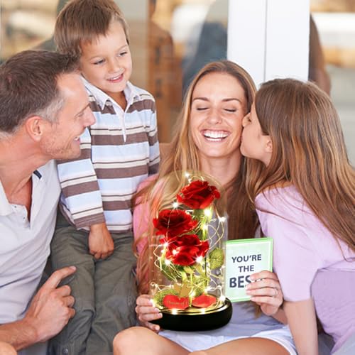 Women Gift Idea Birthday,Unique Gifts for Mom,Beauty and The Beast Rose in Glass Dome With 2 Lights Mode, Birthday Gifts for girlfriend,Wife，Anniversary Red Silk Rose Flower Gifts for Women - color: Classic Rose Red