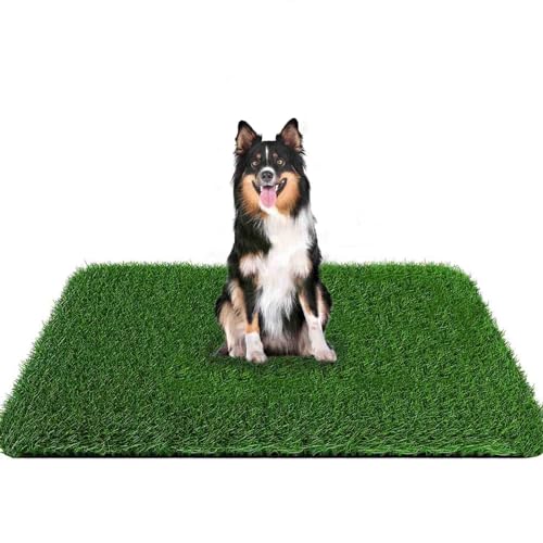 Grass Pad for Dogs 59.1 x 39.4 inches - Fast-Drain Fake Grass for Pets Potty Training, Easy to Clean Fake Grass for Dog Indoor Outdoor Use (1 Pack) - size: 59.1x40 Inch