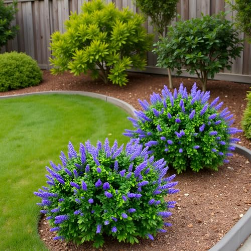 27.55'' Artificial Lavender Topiary Trees, 2 Sets Faux Boxwood Topiary with Spikes,Fake Shrubs Plants for Outdoor Planters, UV Resistant Round Topiary Bush Pot Filler for Front Porch Garden Home Decor - color: Lavender Boxwood-27.55"