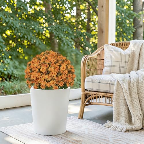 24” Artificial Flowers for Outdoors, Set of 2- UV Resistant Look Real Faux Orange Mums with Cement Pots, Realistic Fake Plastic Plants for Front Porch Planter Entryway Indoor Decor - color: Daisy Autumn Yellow