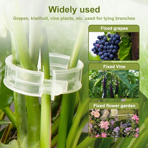 Secured Plastic Plant Clip, 2024 Upgraded Plant Support Clips Reusable Garden Clips 50Pcs, Plant Support Clips Garden Climbing Vines Fixing Clip Trellis Clips Climbing Tomato Clips (50, White) - color: White