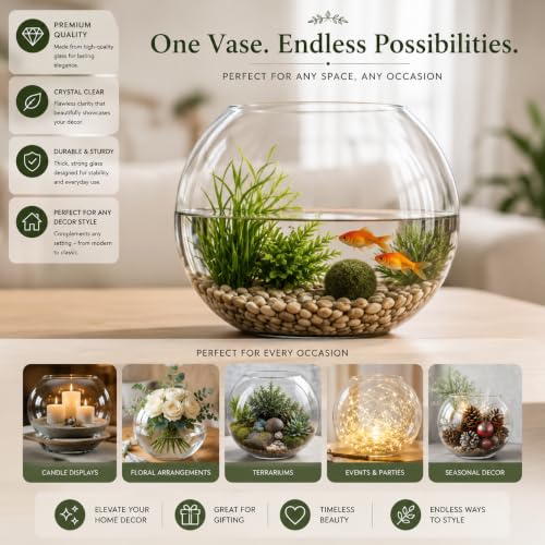 Glass Bubble Vase, 8" Height x 10" Width Glass Fish Bowl, Bubble Bowl for Terrarium, Flower Centerpiece - size: Bubble Bowl : 7.8" Height x 10" Width