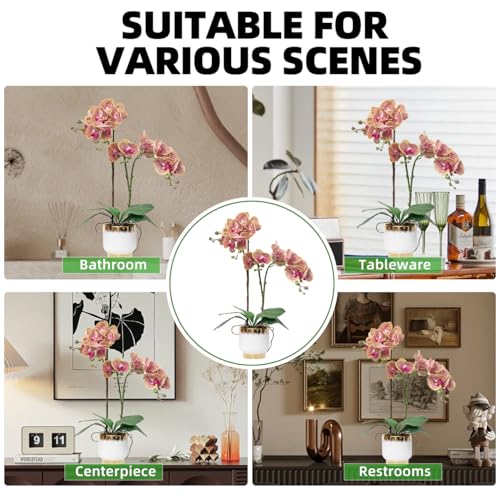 CXGS Orchids Artificial Flowers Real Touch Fake Flowers in Ceramic Pot 20" Purple Dapple Faux Orchid Plant Lifelike Silk Phalaenopsis for Centerpiece Hotel Home Indoor Decor - color: Purple Dapple- White Gold Vase