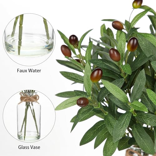 Hollyone Artificial Olive Branch in Glass Vase with Faux Water 15.7" Fake Plants Olive Leaves Stems for Indoor Shelf Desk Home Bathroom Wedding Table Centerpiece Decor - color: Green #6
